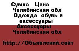 Сумка › Цена ­ 150 - Челябинская обл. Одежда, обувь и аксессуары » Аксессуары   . Челябинская обл.